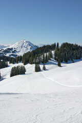 Fototapeta premium ski piste with mountains and trees