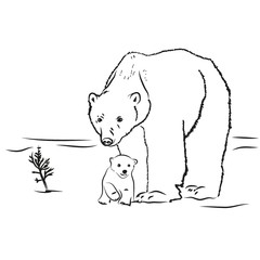 bear with a bear painted in black outline