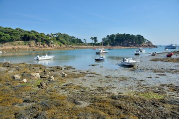 Paysage de l'île Bréhat en Bretagne