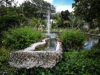 Wasser Park green Miami Usa Natur Landschaft 