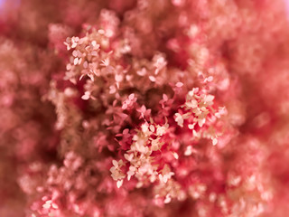 Autumn flowers concept. 3d illustration, 3d rendering.