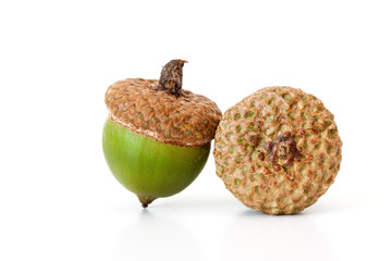 Two green acorns.