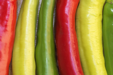 close-up of colorful bitter peppers. Pods of red and green bitter pepper. Harvest vegetables