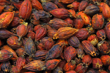 dried gardenia flowers for tea
