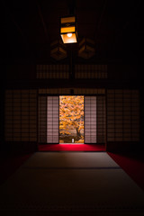 京都府 雲龍院 紅葉