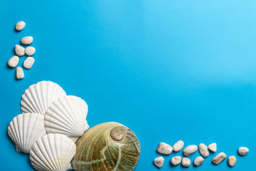 Close up photo of white shells, stones and abalone shell