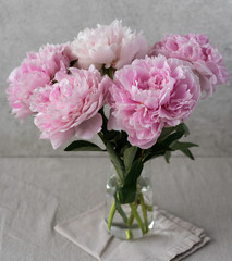 a bouquet of blossomed pink peonies in a vase, grey background © Olga Barilo