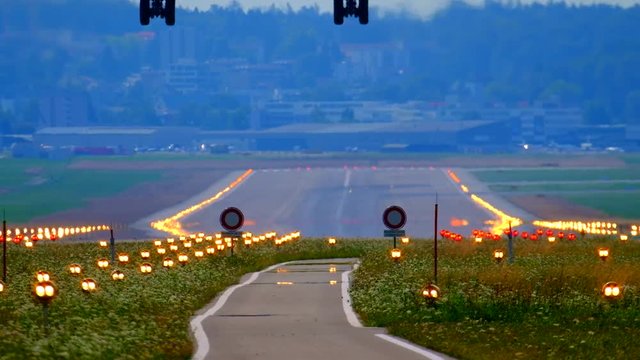 Airplane landing at the airport, back view
