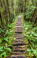 Obraz premium old footpath