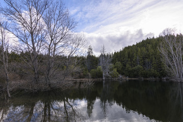 Fototapeta na wymiar Scenic View Of Lake Reflected Against Forest
