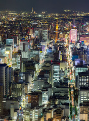 Aerial view of Nagoya