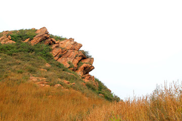 Hills and weeds in a geological park