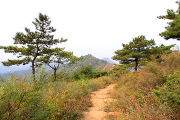 Hills and weeds in a geological park