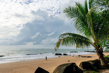 A tropical island beach landscape
