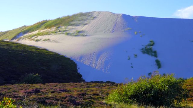 Sylt Wander D&uuml;nen und Heide Landschaft 