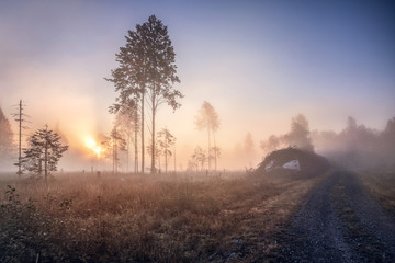 Foggy morning sunrise by the lake