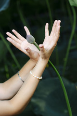 mudra of hand  young woman are folded in a special way into a yoga. Behind a strongly blurred background