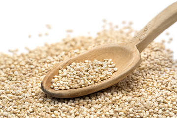 Close up of quinoa seeds on a wooden spoon with white in the blurred background