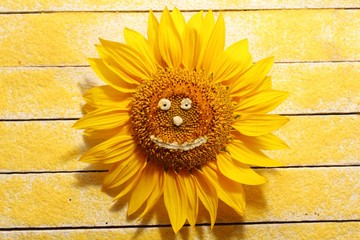Sonnenblume mit Gesicht