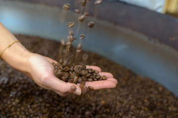 fresh roasted coffee beans