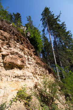 Sandstein Aufschluss im Wald in S&uuml;ddetuschland