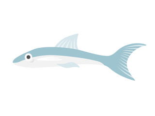 熱帯魚のオトシンクルスのイラスト