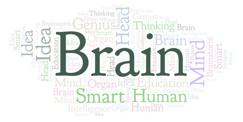 Fototapeta premium Brain word cloud.