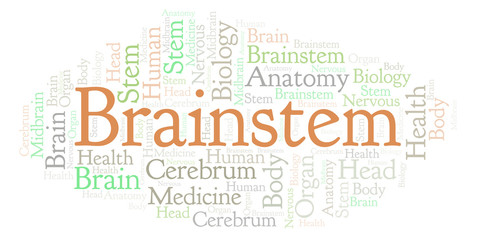 Brainstem word cloud.