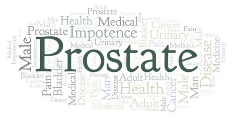 Obraz premium Prostate word cloud.