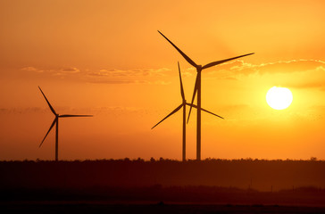 Obraz premium Silhouette of wind turbines at sunset. The concept of alternativ