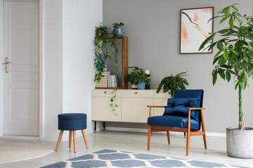 Palm next to blue armchair in grey flat interior with stool, poster and plants on cabinet. Real photo