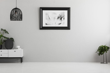 Black lamp above white cabinet with plant in empty grey flat interior with poster. Real photo....