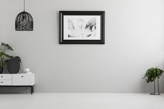 Black lamp above white cabinet with plant in empty grey flat interior with poster. Real photo. Place for your sofa