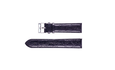 The watchstrap isolated