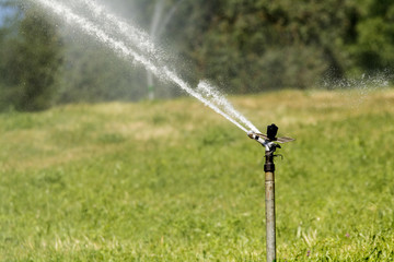 Irrigation field in italy