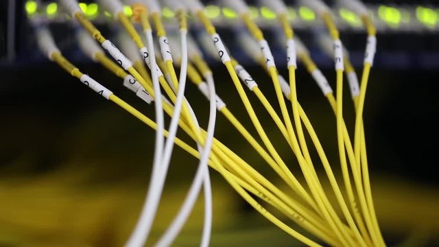 Server front side showing colorful switches and wiring Abstract blurred image for use as a background Close-up