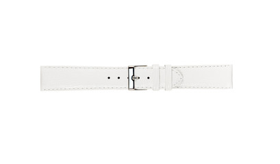 The watchstrap isolated