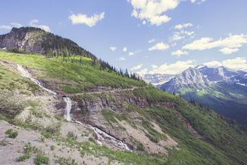 Obraz premium In the Park