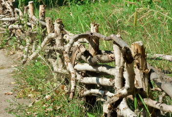 image of low wooden fence in the village