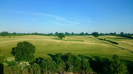 Fototapeta na wymiar perfect green field in Germany