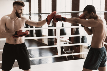 Two Male Boxers during Sparring on Boxing Ring