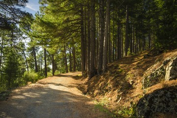 Road in Abantos mountain in autumn Madrid