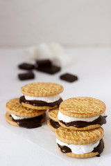 Homemade marshmallow s'mores with chocolate on crackers on a white background.
