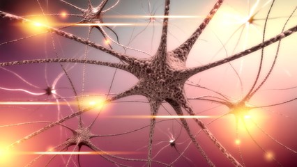 Brain.