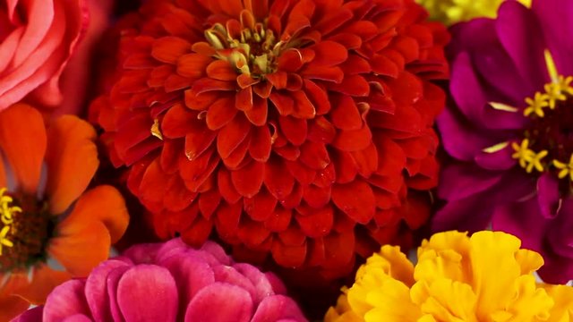 A bouquet of flowers spinning on a black background. Close up.