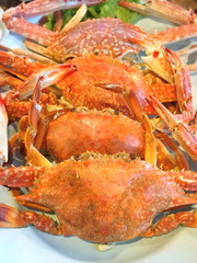 Steamed crap on a plate looks very appetizing.