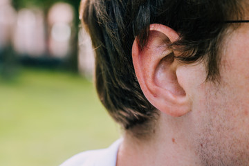 Fototapeta premium male ear close up with stubbles and hair in summer sun light on grass