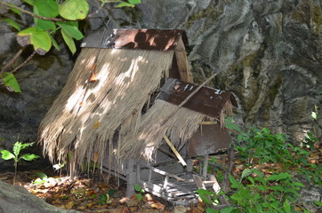 House in forest