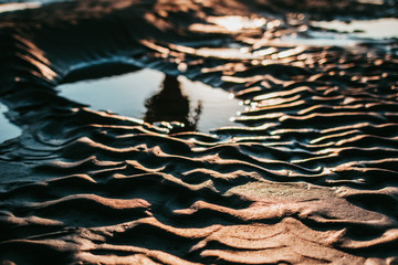 beautiful sea background in summer - tide out and bottom of the Dutch Wadden Sea