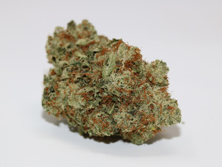 Master Kush